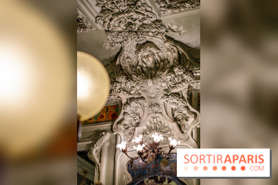 Le Bouillon Julien, la brasserie au sublime décor art nouveau, son menu et ses plats -  moulures