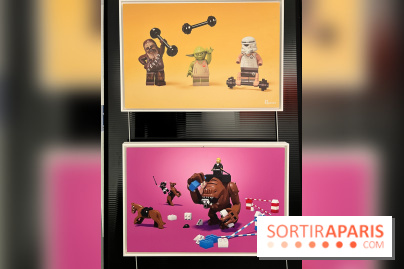 Exposition LEGO à Clichy - IMG 8859