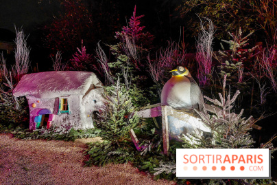 Noël 2023 à Enghien-les-Bains, nos photos - 20231201 180825