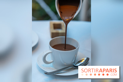 Le Tea Time du Joy à l'Hôtel Fouquet's sur sa terrasse d'hiver enchantée -  A7C9631