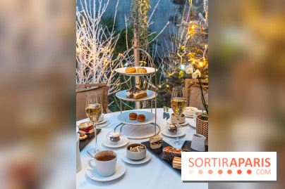 Le Tea Time du Joy à l'Hôtel Fouquet's sur sa terrasse d'hiver enchantée -  A7C9648