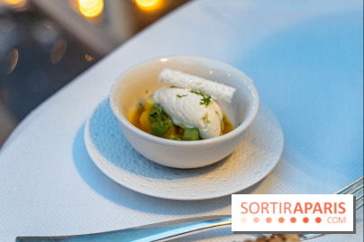 Le Tea Time du Joy à l'Hôtel Fouquet's sur sa terrasse d'hiver enchantée -  A7C9649