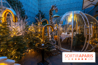 Le Tea Time du Joy à l'Hôtel Fouquet's sur sa terrasse d'hiver enchantée -  A7C9654