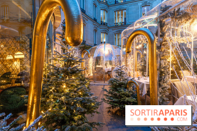 Le Tea Time du Joy à l'Hôtel Fouquet's sur sa terrasse d'hiver enchantée -  A7C9661