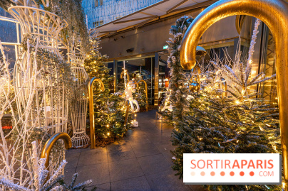 Le Tea Time du Joy à l'Hôtel Fouquet's sur sa terrasse d'hiver enchantée -  A7C9666