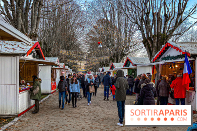 Le Marché de Noël 2023 du Perray-en-Yvelines - image00005