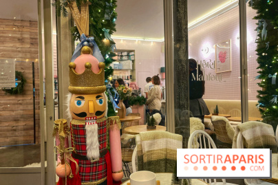 Hôtel Mahfouf - Station de ski - IMG 7589