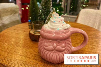 Hôtel Mahfouf - Station de ski - IMG 7598