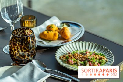 Maison Jaune, le restaurant-péniche de Boulogne-Billancourt -  A7C9282