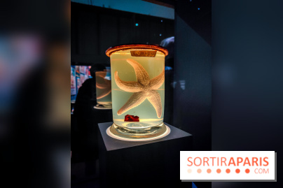 Objectif mer, l'exposition autour du 7e art à découvrir au musée de la Marine - nos photos - IMG20231207103735