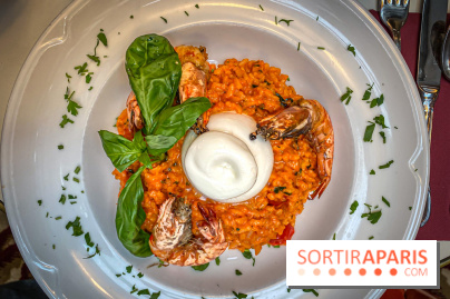 Dandino Saint-Germain-des-Prés - IMG 2687