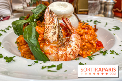 Dandino Saint-Germain-des-Prés - IMG 2690