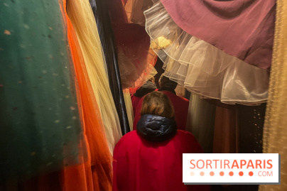 La Belle et la Bête, le spectacle au château de Maisons-Laffitte - nos photos - image00027