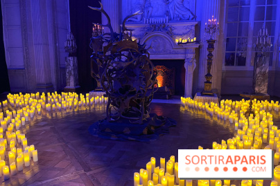 La Belle et la Bête, le spectacle au château de Maisons-Laffitte - nos photos - image00014