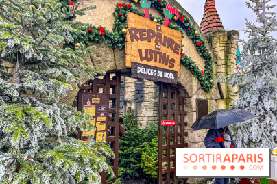 Noël au Parc Astérix 2023, sentier de lumières et patinoire - IMG 4924