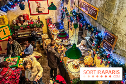 Noël au Parc Astérix 2023, sentier de lumières et patinoire - IMG 4933