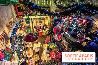 Noël au Parc Astérix 2023, sentier de lumières et patinoire - IMG 4936