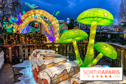 Noël au Parc Astérix 2023, sentier de lumières et patinoire - IMG 4964