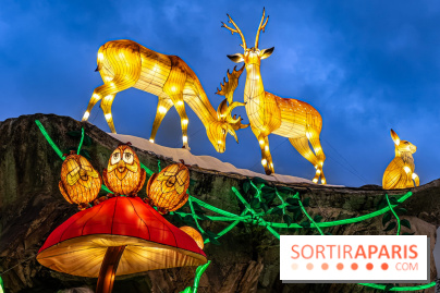 Noël au Parc Astérix 2023, sentier de lumières et patinoire - IMG 4971