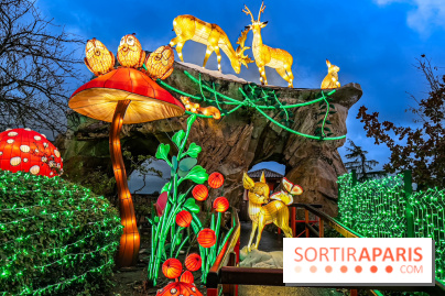 Noël au Parc Astérix 2023, sentier de lumières et patinoire - IMG 4973