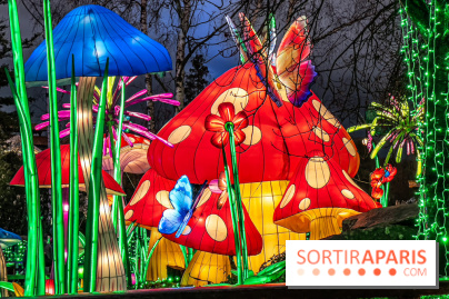 Noël au Parc Astérix 2023, sentier de lumières et patinoire - IMG 4977