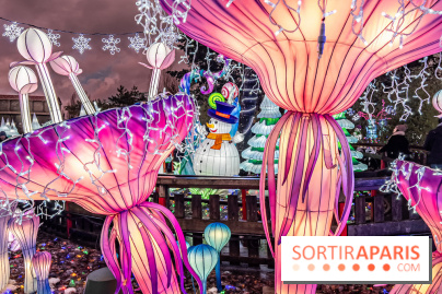 Noël au Parc Astérix 2023, sentier de lumières et patinoire - IMG 4994