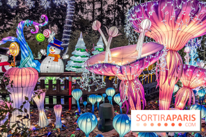 Noël au Parc Astérix 2023, sentier de lumières et patinoire - IMG 4996