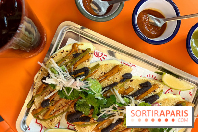 Taco Mesa - Quesadillas