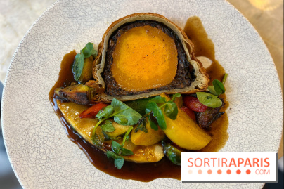 Le Boréal - Wellington courge butternut