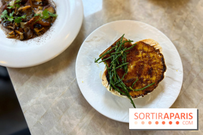 Le Boréal - Saint-Jacques gratinée