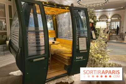 Fondue au Marriott Opera - IMG 7647