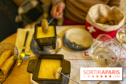 Fondue au Marriott Opera - IMG 7679