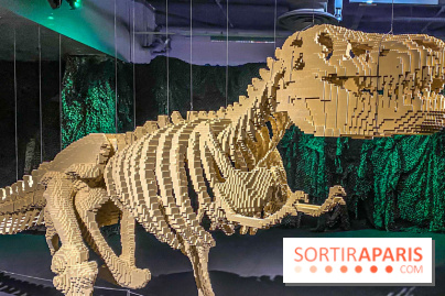 Expo The Art of The Brick Galerie Montparnasse - IMG 3112