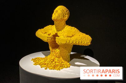 Expo The Art of The Brick Galerie Montparnasse - IMG 3119