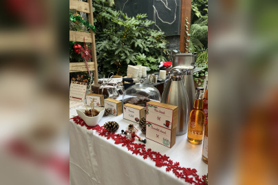 Le marché de Noël du 15 au 17 décembre 2024 au Renaissance République - IMG 9011