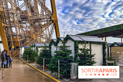 Marché de Noël de la tour Eiffel - image00002