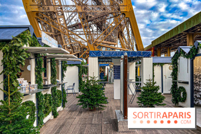 Marché de Noël de la tour Eiffel