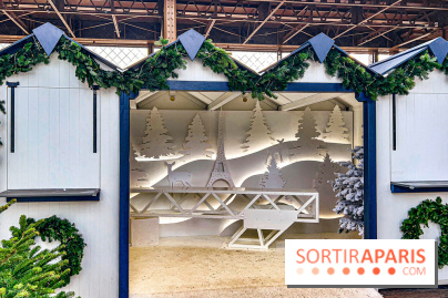 Marché de Noël de la tour Eiffel - image00005