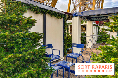 Marché de Noël de la tour Eiffel - image00020