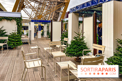 Marché de Noël de la tour Eiffel - image00051