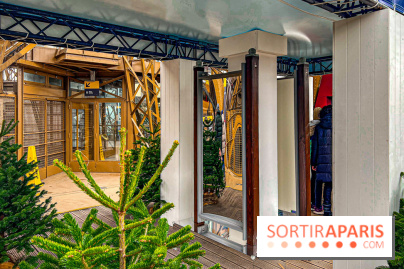 Marché de Noël de la tour Eiffel - image00052