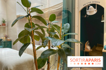 Dream Machine - IMG 7694