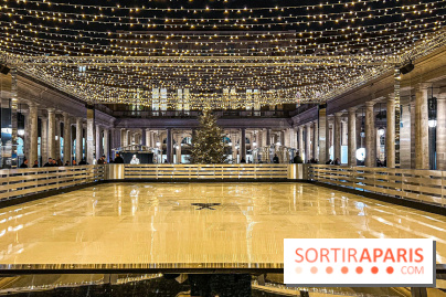 La Patinoire AMI Paris au Palais Royal - image00009