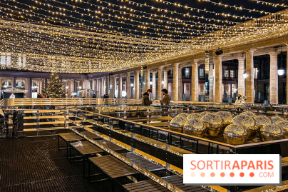 La Patinoire AMI Paris au Palais Royal - image00020