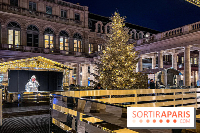 La Patinoire AMI Paris au Palais Royal - image00024