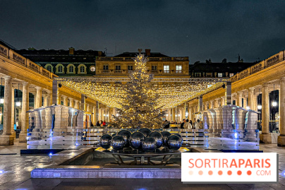 La Patinoire AMI Paris au Palais Royal - image00078
