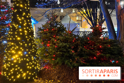 Bel Hiver 2023 à Saint-Denis - nos photos - image00013