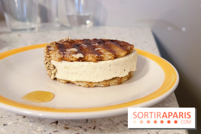 Pristine - Ice cream sandwich