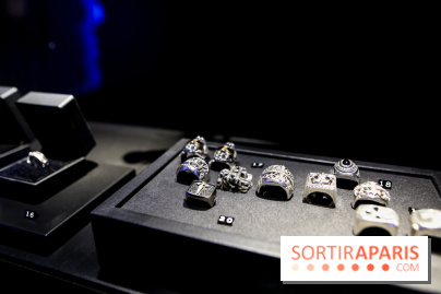 Johnny Hallyday, nos photos de l'expo à Paris - IMG 2036