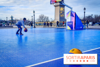 Concorde Park - basket